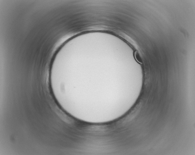 X0000115051179200911231147