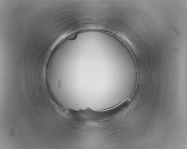 X0000115051181200911231147