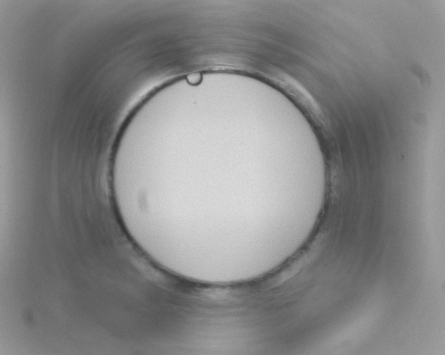 X0000115051182200911231147