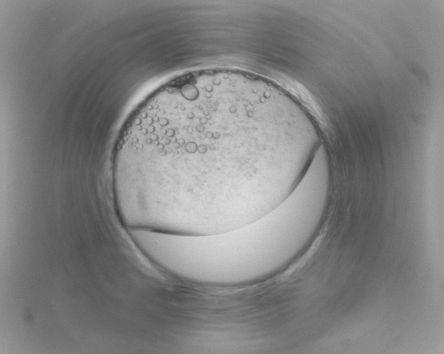 X0000115051184200911231147