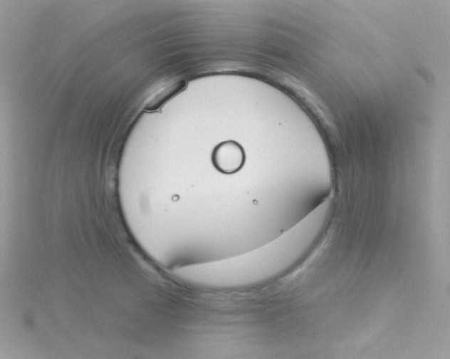 X0000115051185200911231147