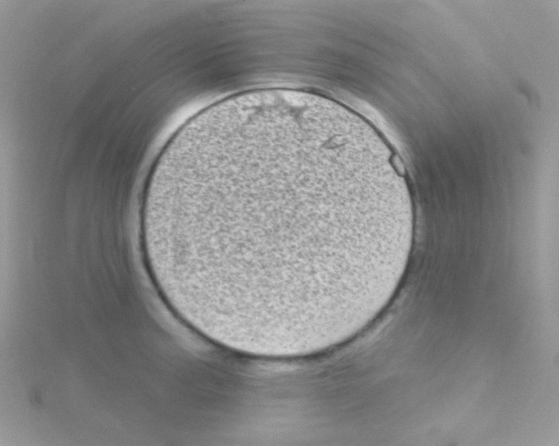 X0000115051187200911231147