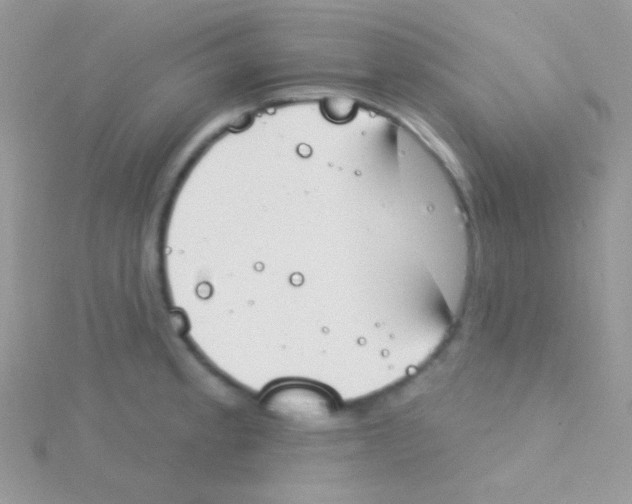 X0000115051189200911231147