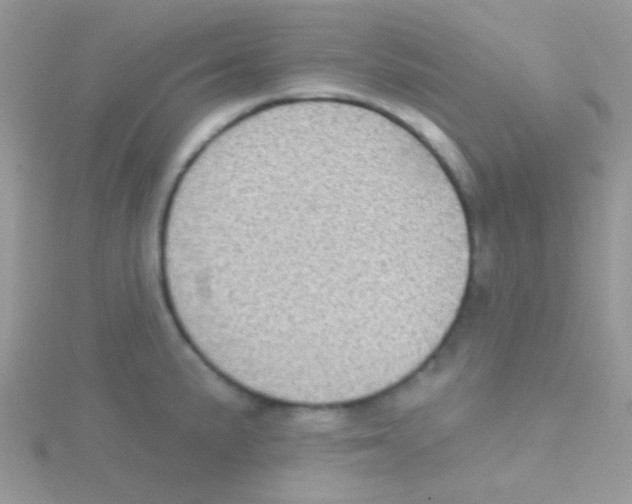 X0000115051191200911231147