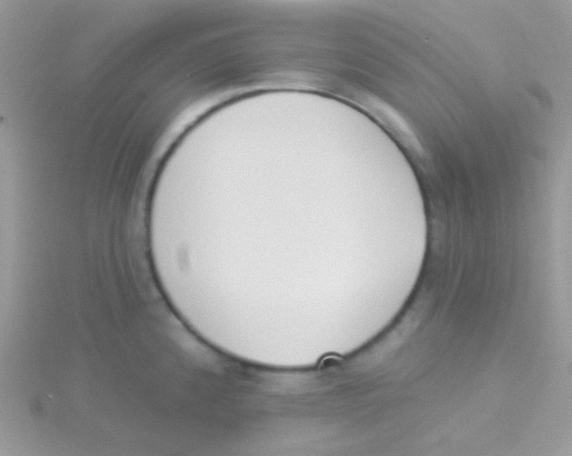 X0000115051192200911231147