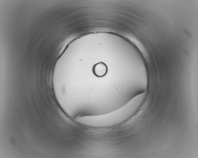 X0000115051193200911231147