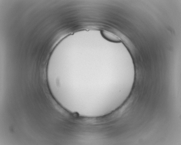 X0000115051194200911231147