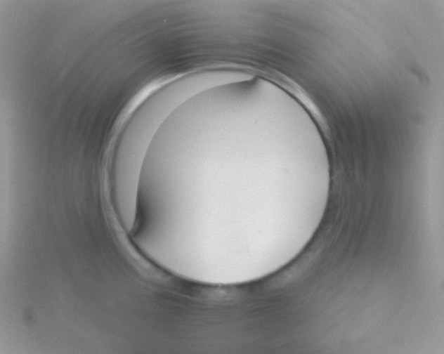 X0000115051195200911231147