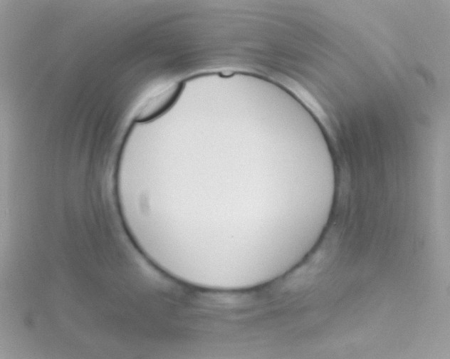 X0000115051197200911231147