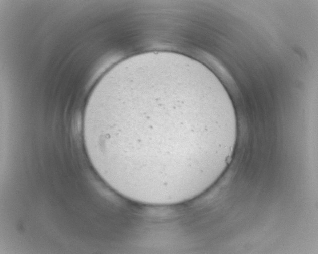 X0000115051198200911231147