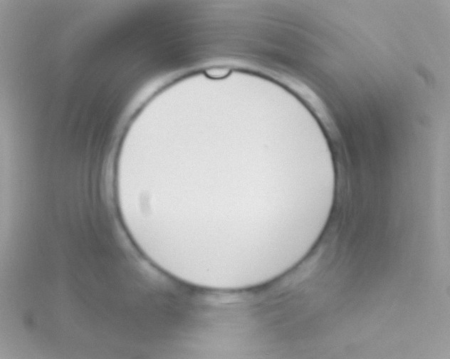 X0000115051199200911231147