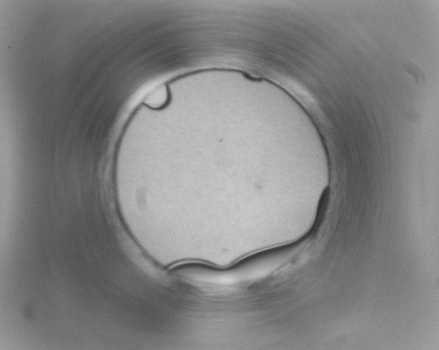 X0000115051200200911231147