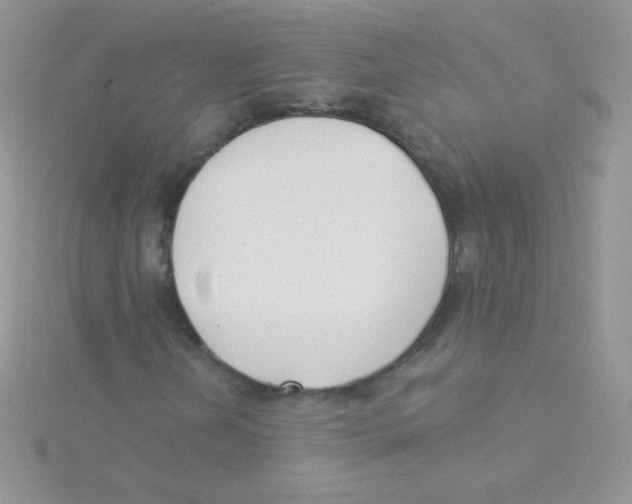 X0000115051202200911231146