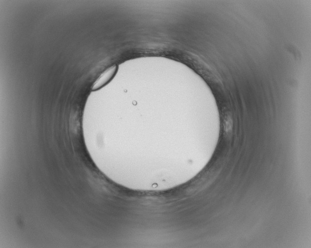 X0000115051204200911231146