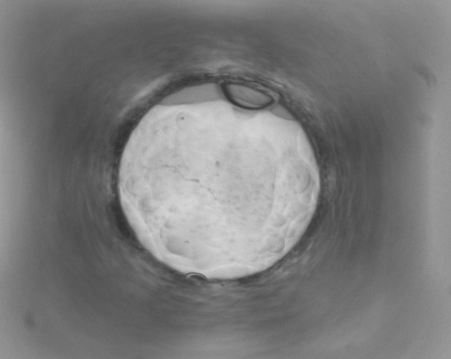 X0000115051205200911231146