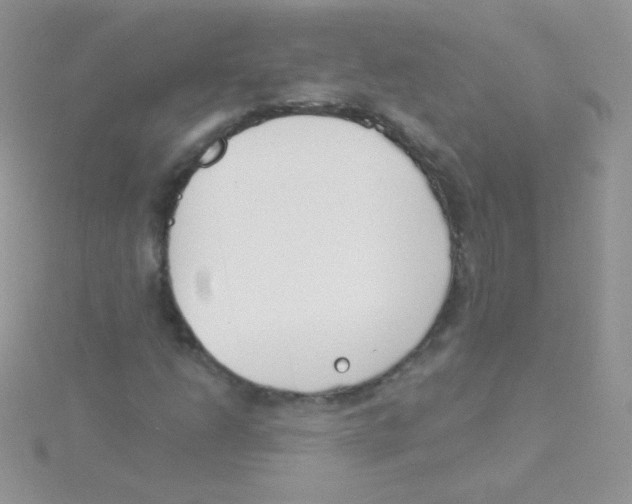 X0000115051206200911231146