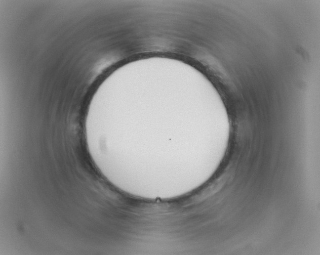 X0000115051210200911231146