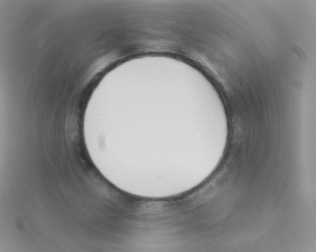 X0000115051211200911231146