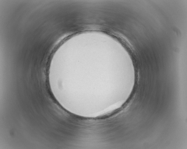 X0000115051212200911231146