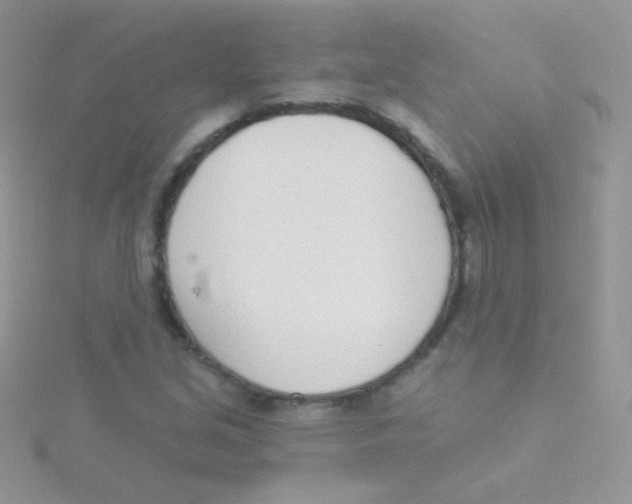 X0000115051213200911231146