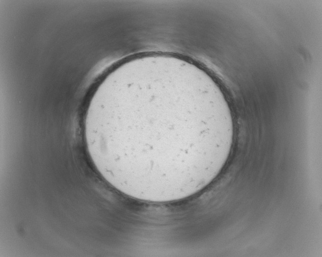 X0000115051215200911231146