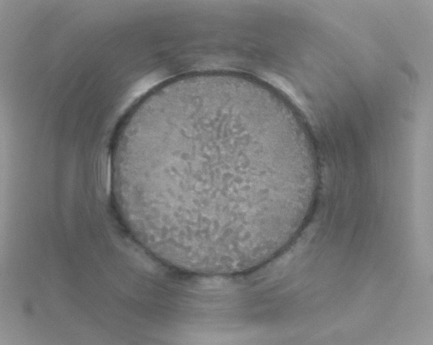 X0000115051219200911231146