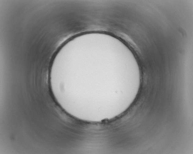 X0000115051220200911231146