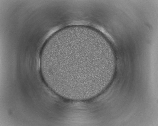 X0000115051221200911231146