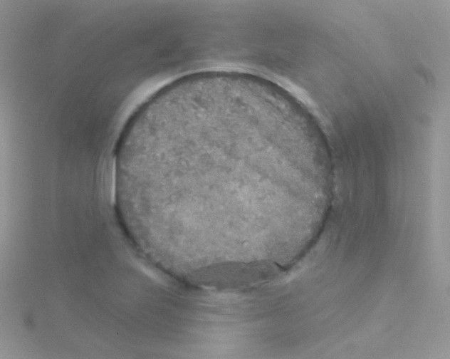 X0000115051223200911231146