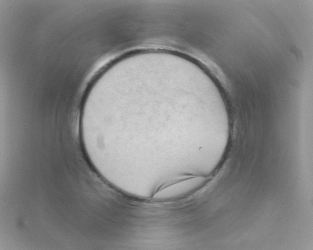 X0000115051224200911231146