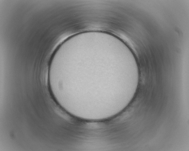 X0000115051227200911231146