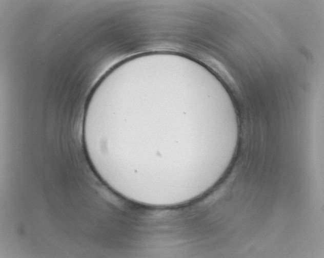 X0000115051228200911231146