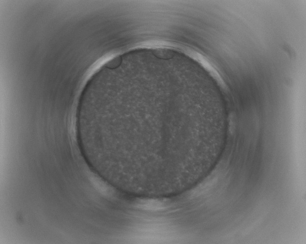 X0000115051229200911231146