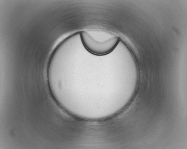 X0000115051230200911231146