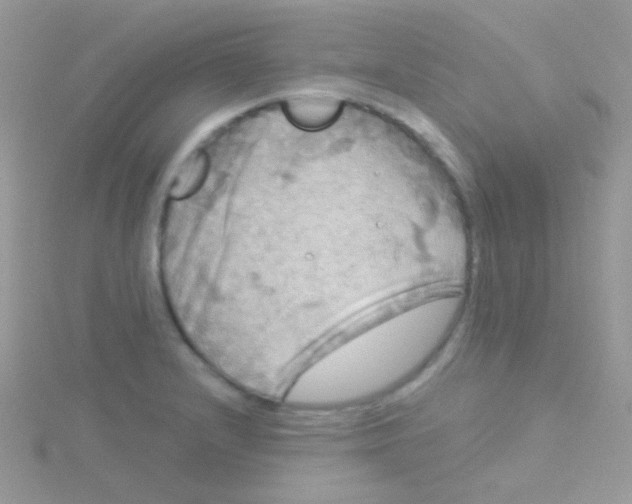 X0000115051232200911231146