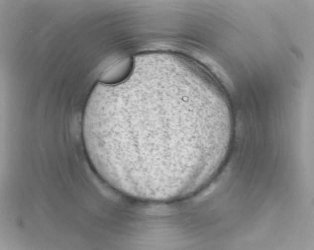 X0000115051233200911231146