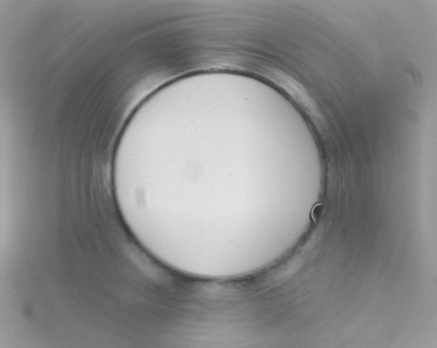 X0000115051234200911231146