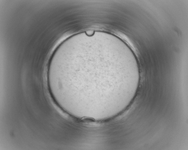 X0000115051235200911231146