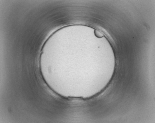 X0000115051236200911231146