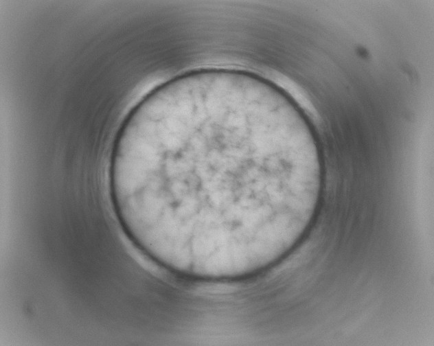 X0000115051237200911231146