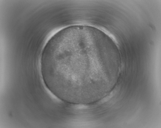 X0000115051239200911231146