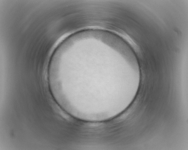 X0000115051240200911231146