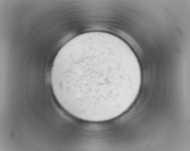 X0000115051241200911231146