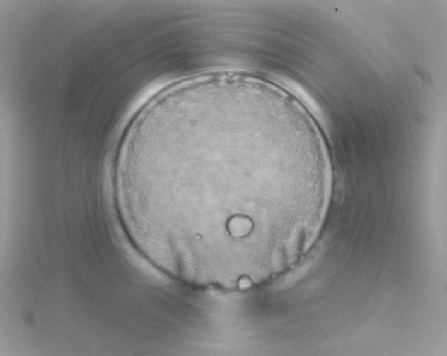 X0000115051243200911231147