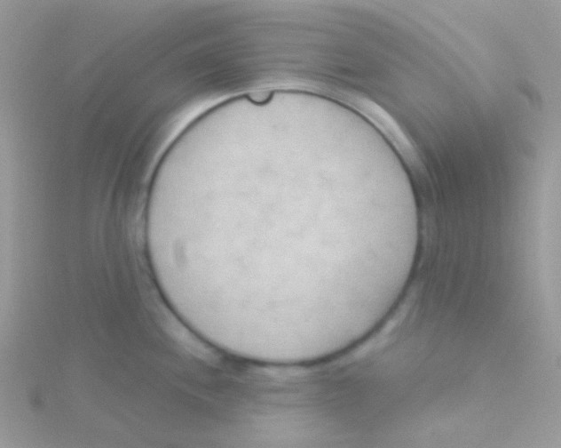 X0000115051244200911231147