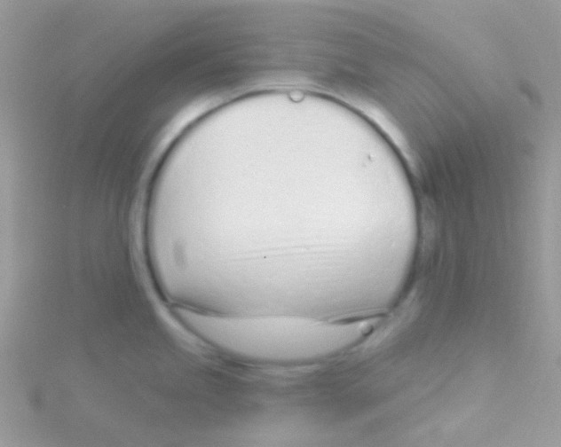 X0000115051245200911231147