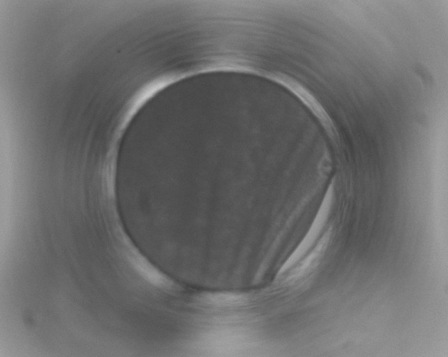 X0000115051246200911231147