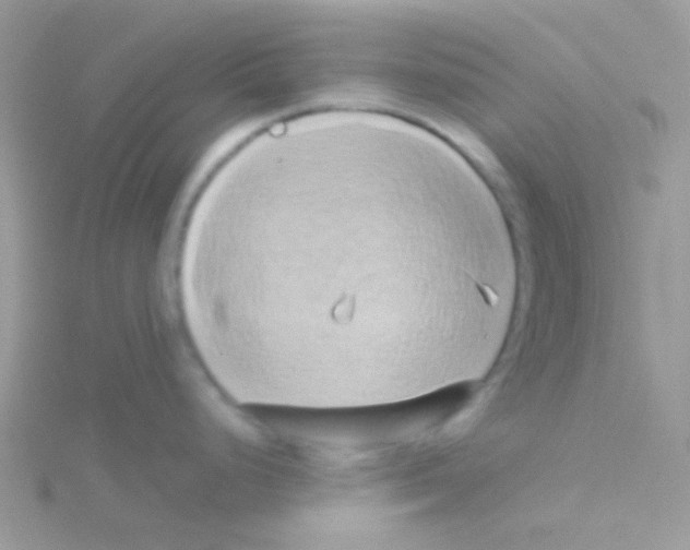 X0000115051248200911231147