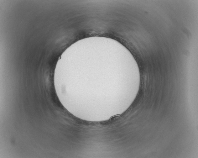 X0000115051250200911231146