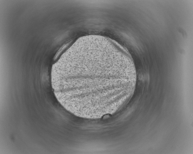 X0000115051252200911231146